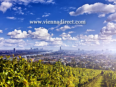 View from the vineyards outside Vienna